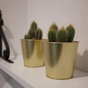 https://bonito-apartamento-nuevo-y-en-el-casco-viejo.basquecountryhotels.org